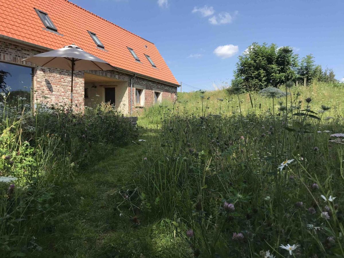 Nachtegael Hoekhuis, Knusse Woning Met Prachtig Vergezicht Kluisbergen Exterior foto