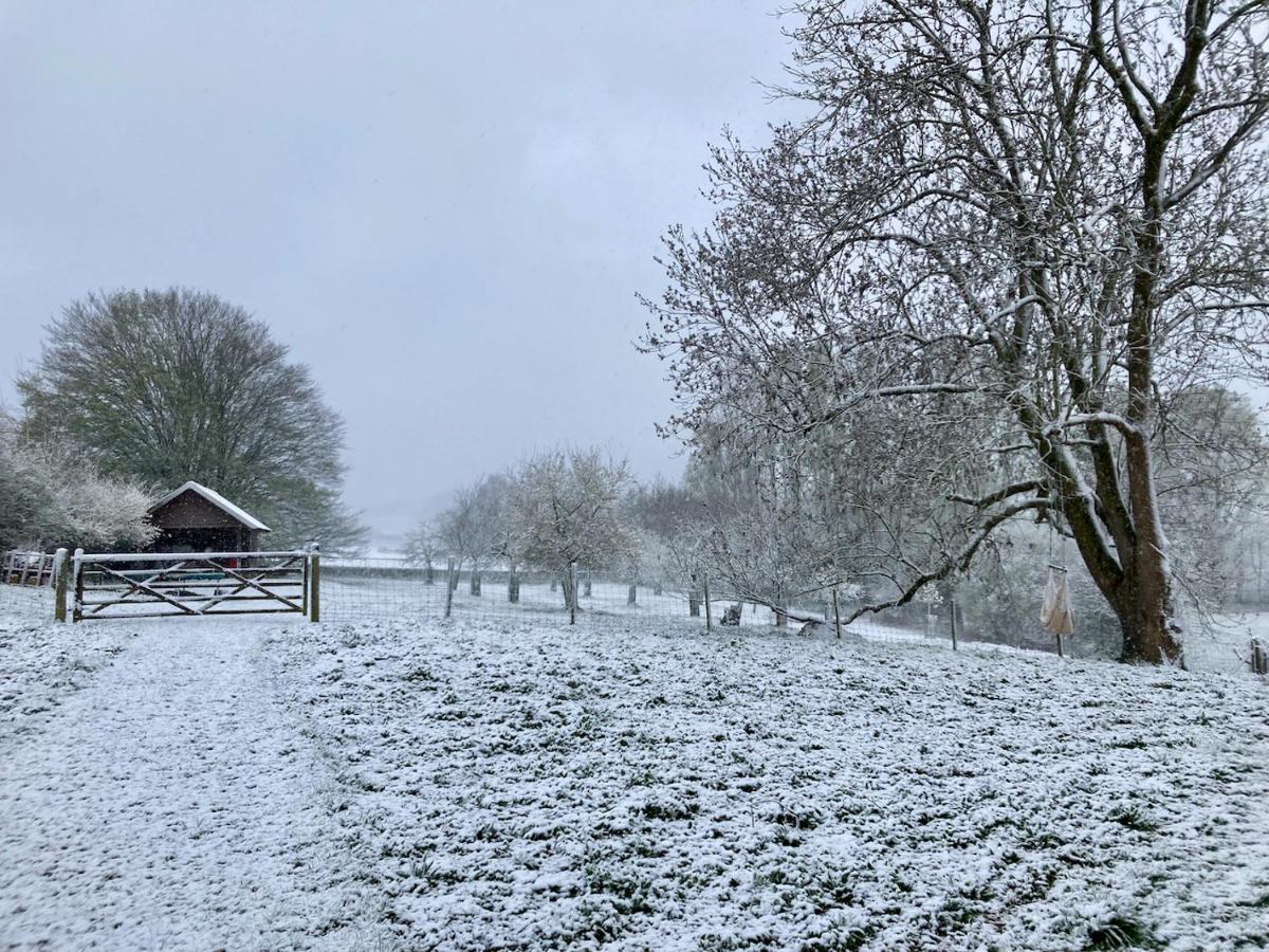 Nachtegael Hoekhuis, Knusse Woning Met Prachtig Vergezicht Kluisbergen Exterior foto