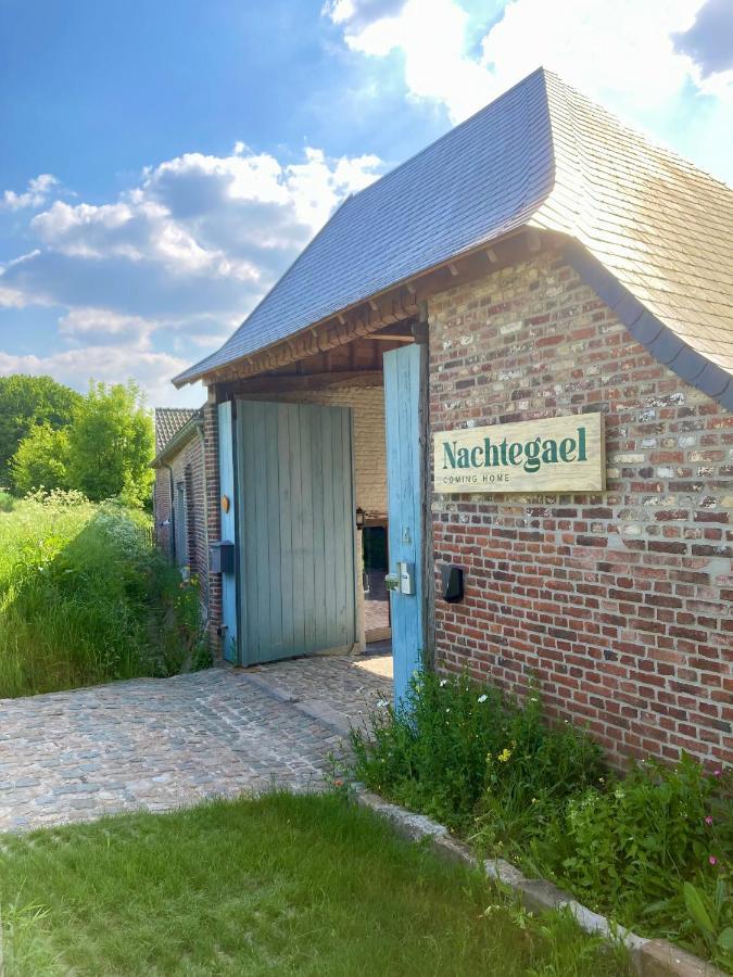 Nachtegael Hoekhuis, Knusse Woning Met Prachtig Vergezicht Kluisbergen Exterior foto